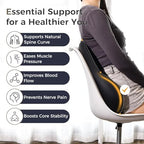 Lumbar Support Pillow for Car (Blackgray)