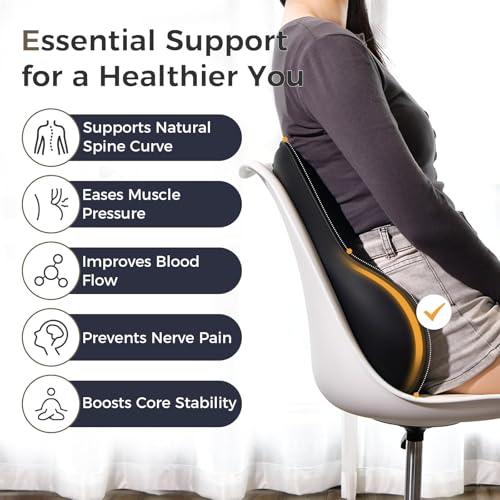 Lumbar Support Pillow for Car (Blackgray)