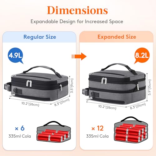 Insulated Lunch Box for Men (Gray / 8.2L)