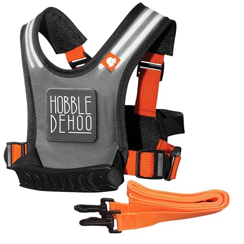 Autism Safety Harness with leash for Kids 2 (Original (Orange))