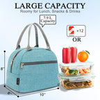 Insulated Lunch Cooler Bag (Sea Blue)