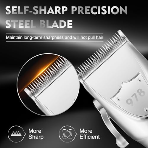 Professional Hair Clippers Set for Men (Silver)