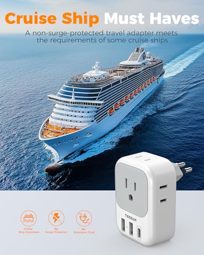 Brazil Plug Adapter 2 Pack (White grey-Type N)