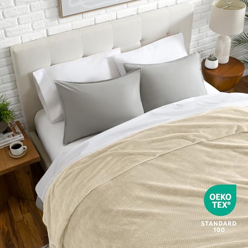 Fleece Blanket Luxury Microplush (Full/Queen / 27 - Chevron Oyster)