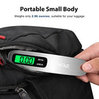 Digital Luggage Scale (Silver)
