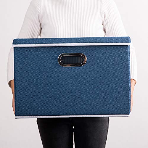 Large Collapsible Storage Bins with Lids [3 (Royal Blue / L(3-Pack))