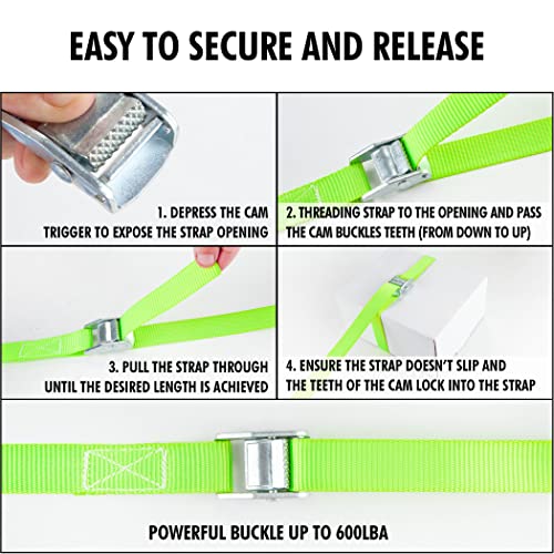 1" x 12 ft Lashing Straps (6 PK / Green)