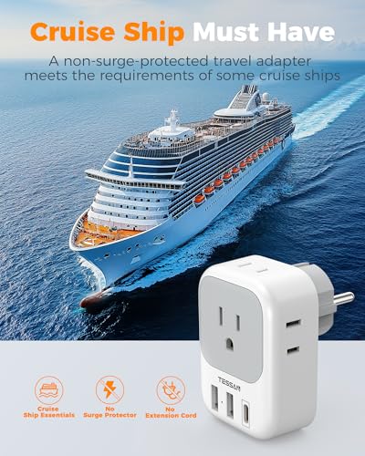 2 Pack Type E F Plug Adapter (White grey-Type E/F)