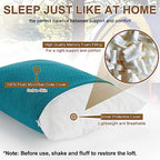 Memory Foam Travel Pillow (M-17.7 Inch x 13.8 Inch / Turquoise Blue)