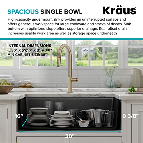 Bellucci Workstation 32 in. Undermount Granite Composite Single Bowl Kitchen Sink in Metallic Black with Accessories with WasteGuard™ Continuous Feed Garbage Disposal (Black / 32 Inch / Sink and Garbage Disposal 3/4 HP)
