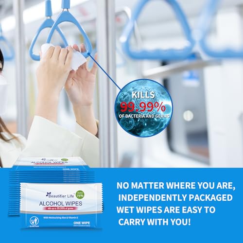 100 Count Individually Packed Hand Sanitizing Wipes (100 Count (Pack of 1))