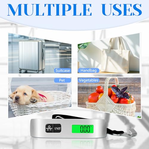 Luggage Scale (Silver)