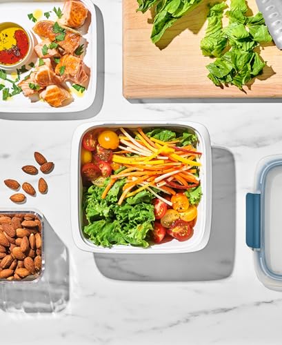 Good Grips Prep & Go Food Storage Salad Container (Salad Container / Ocean Blue)