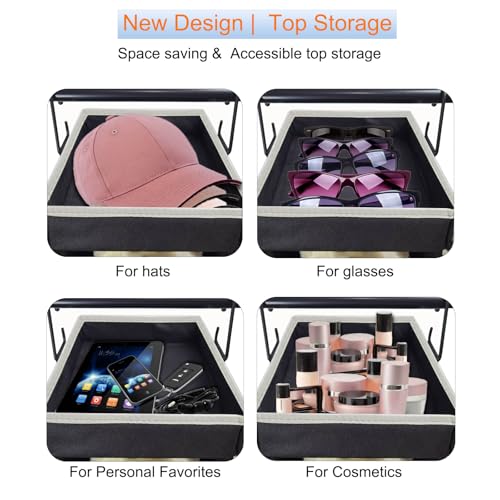 Large Sized Hanging Shoe Organizer 10 (Black / 1 pack)