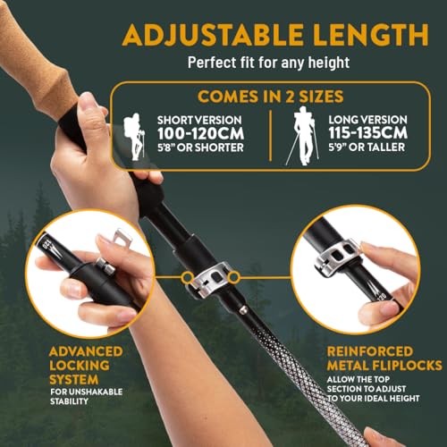 Premium Foldable Hiking Poles by USA Brand (Cork - Gray / 115-135 cm for Height: 5'10" and taller)