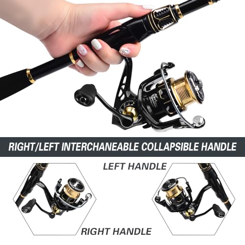 Fishing Rod and Reel Combo (Full Kit with Carrier Case / 6.9 ft)