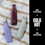 Stainless Steel Water Bottle (Wild Cherry / 16.9 Ounces)
