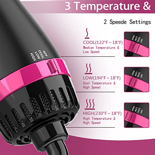 Hair Dryer Brush (Black Pink)