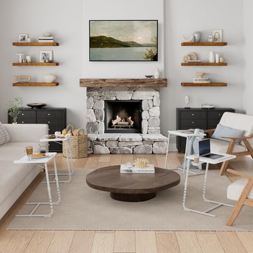 TV Trays Set of 4 (White)