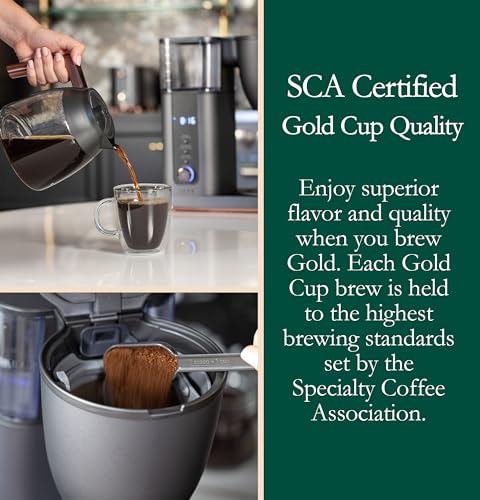 Specialty Drip Coffee Maker 10 (Matte Black / Glass Carafe)
