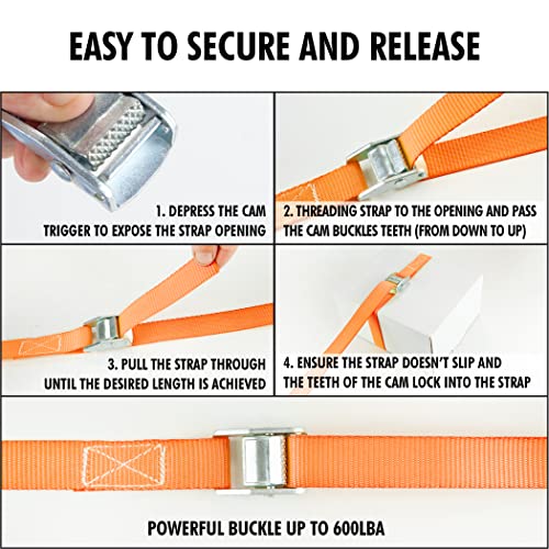 1 in x 12 ft Lashing Straps (10 PK / Orange)