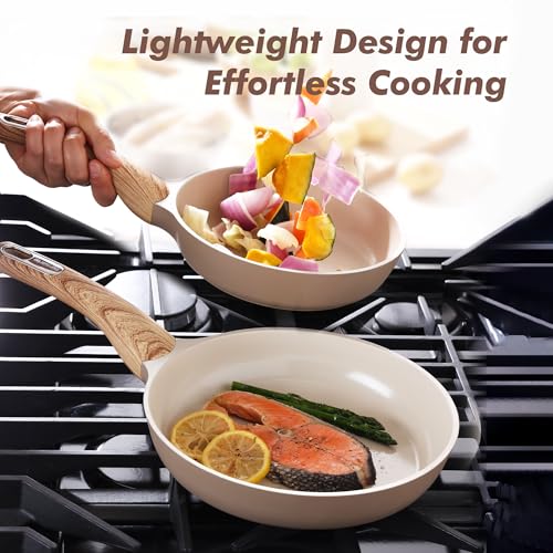 9.5inch Ceramic Nonstick Frying Pan Paella Pan with Lid (9.5 Inch / TAFFEE Taupe)