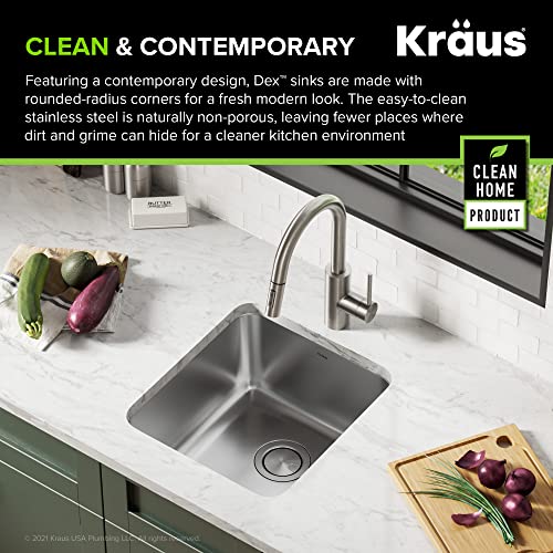 Dex 17 inch Undermount 16 Gauge Stainless Steel Single Bowl Kitchen Sink (17 Inch / Single Bowl)