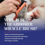 Big G Dog Slicker Brush (Medium / Coral)