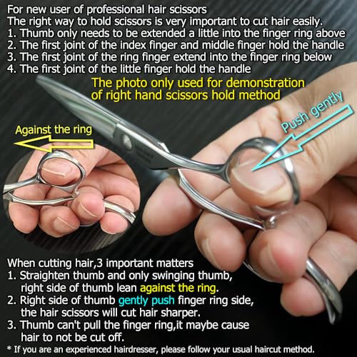 5.5 Inch Hair Cutting Scissors 440C Small Hair Shears (5.5 Inch Cutting)