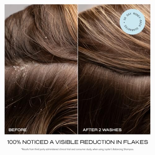 Anti Dandruff Shampoo (Anti-Dandruff Shampoo 2 Pack)