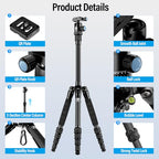Compact Traveler 5C Tripod 54.3 inches Lightweight Carbon Fiber Travel Tripod for Camera with 360° Panorama Ball Head for Arca Swiss Quick Release Plate (Carbon Tripod 5C)