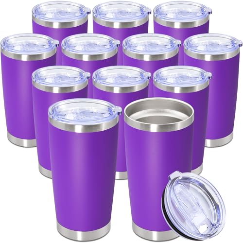 20oz Tumbler Stainless Steel Tumbler Coffee Tumbler with Lid Purple (Purple)