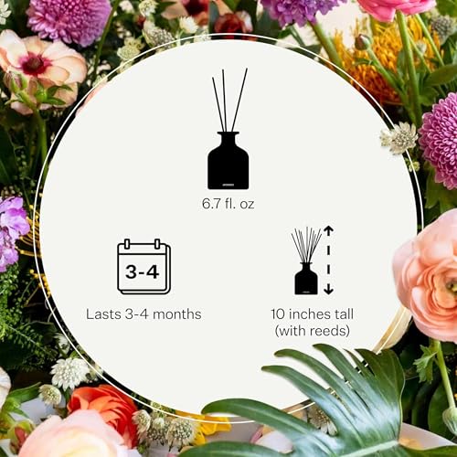 Scented Reed Diffuser for Home