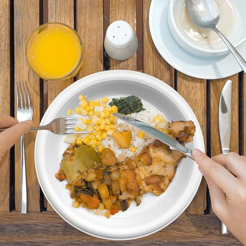 50 Pcs 10 Inch White Plastic Plates (White / 50 Pcs)