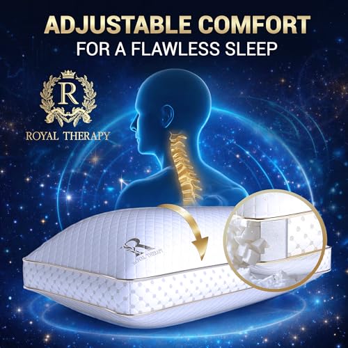 2 Pack King Memory Foam Pillow (King (Pack of 2))