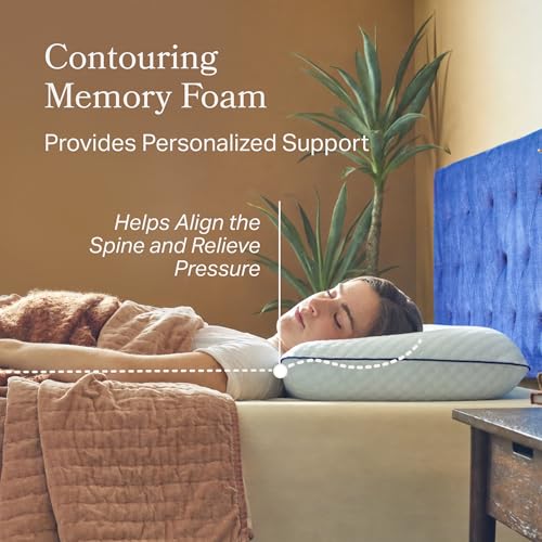 Cooling Gel Memory Foam Pillow for Sleeping (Queen / 1 Pack)