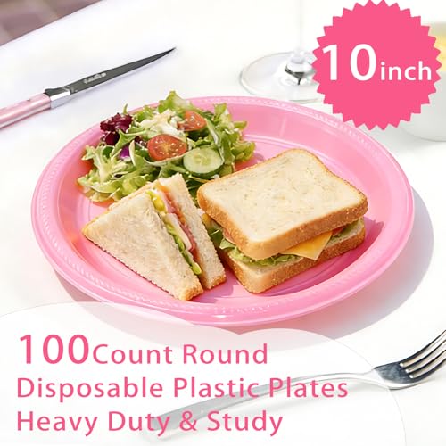 100 Pcs 10 Inch Pink Plastic Plates (Pink / 100 Pcs)