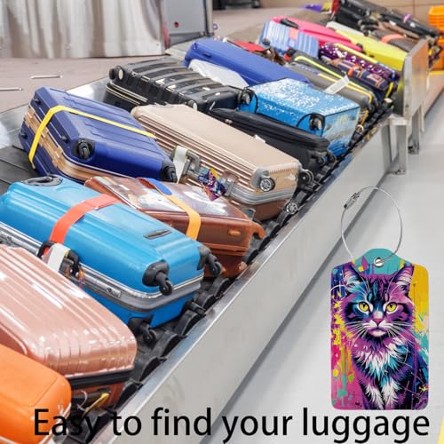 Colorful Cat 2 Pack Luggage Tag for Suitcase (Colorful Cat)