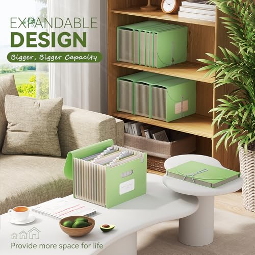Accordion File Organizer (Grass Green)