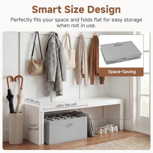 24 Pair Large Shoe Storage Box (Grey / Large)