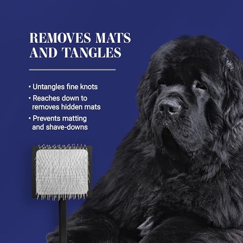 Big K Dog Slicker Brush for Dogs (Large / Black)