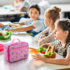 Freezable Lunch Box (Black / 5L)