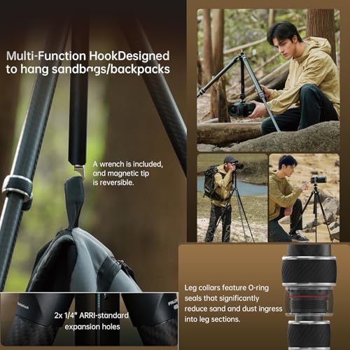 FALCAM TreeRoot F38 Quick Lock Lite Carbon Fiber Tripod with Ball Head (T00A4903)
