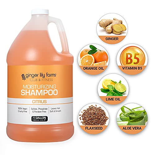 Club & Fitness Shampoo (128 Fl Oz (Pack of 1))