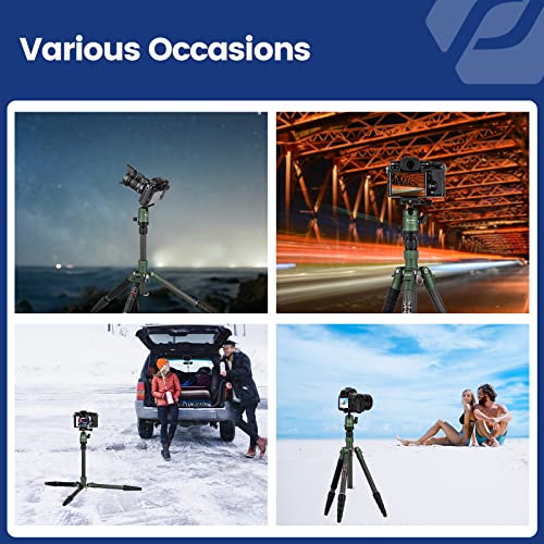60" Carbon Fiber Camera Travel Tripod (Green / 62" Basic (Carbon Fiber))
