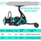 Telescopic Fishing Rod and Reel Combo (Green Full Kit with Carrier Case / 5.9 ft)