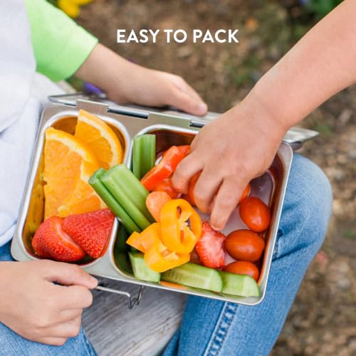 Recycled Shuttle Stainless Steel Lunch Box for Kids and Adults (2 Compartments)