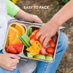 Recycled Shuttle Stainless Steel Lunch Box for Kids and Adults (2 Compartments)