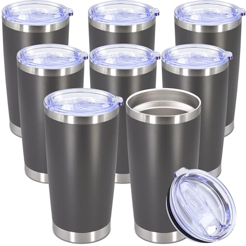 20oz Tumbler Stainless Steel Tumbler Coffee Tumbler with Lid Grey (Gray)