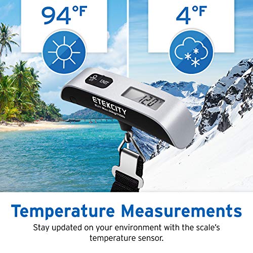 Luggage Scale (Ash Silver-2 pack)